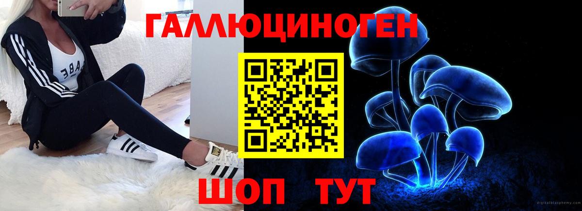 Гурьевск  Галлюциногенные грибы MAGIC MUSHROOMS  Вход с VPN 